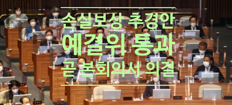  손실보상 추경안, 예결위 통과...곧 본회의서 의결