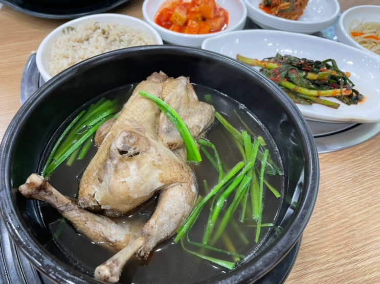  [화순맛집]화순 닭백숙맛집 참일능이에서 몸보신