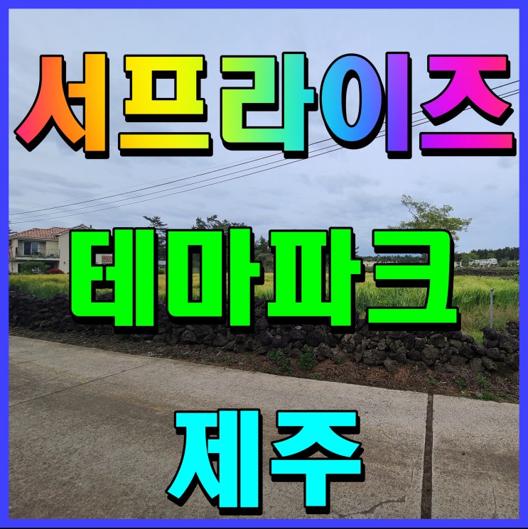  제주 서프라이즈 테마파크 아이랑 가볼만한곳 범블비 기다려