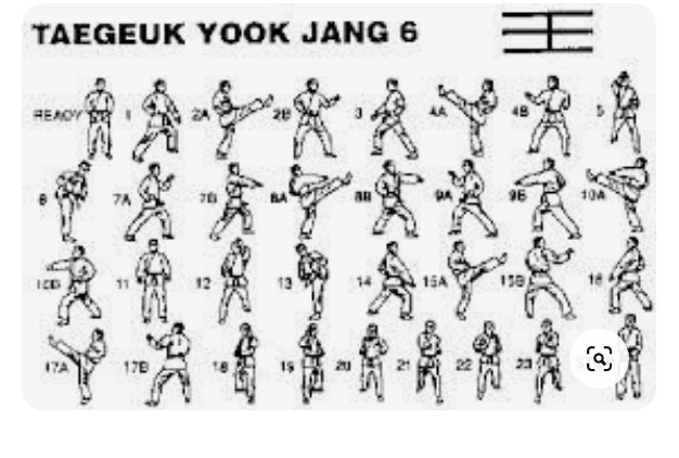  태권도 품새? 품세? 태극 1~8장. 그리고 품새 챔피언 이주영 선수.