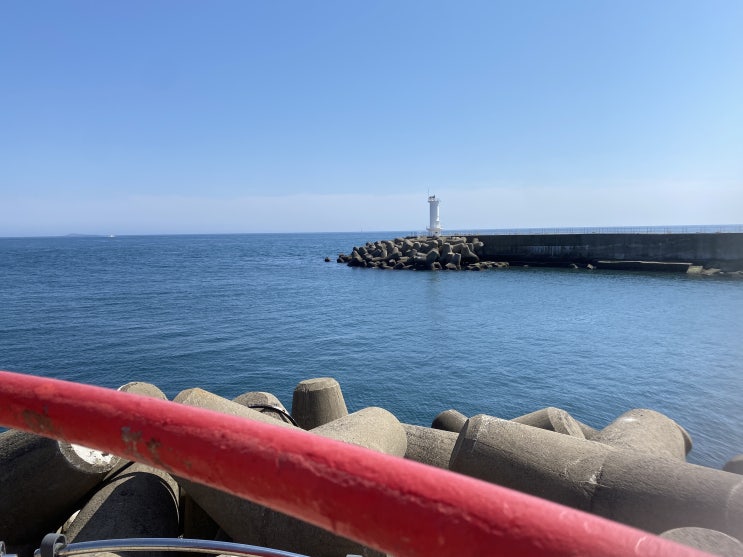제주도 여기 저기 제주도 여기 저기