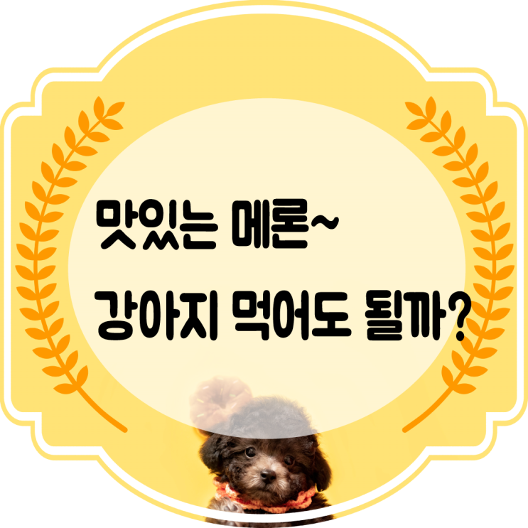  강아지메론 과일 먹어도 될까요?