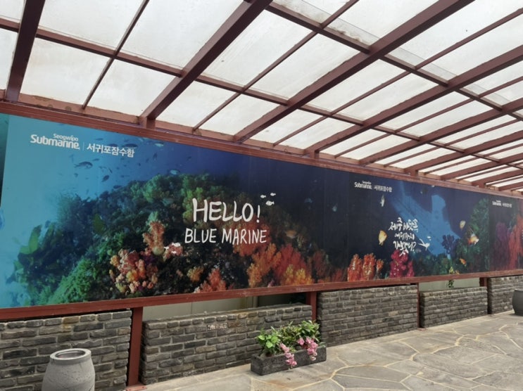  제주  서귀포 잠수함
