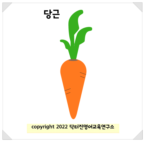 당근 carrot 영단어카드