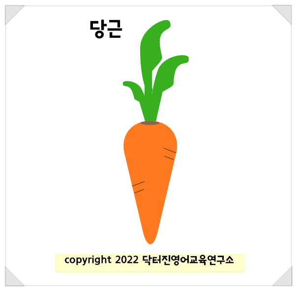  당근 carrot 영단어카드