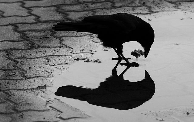  김광균, 노신