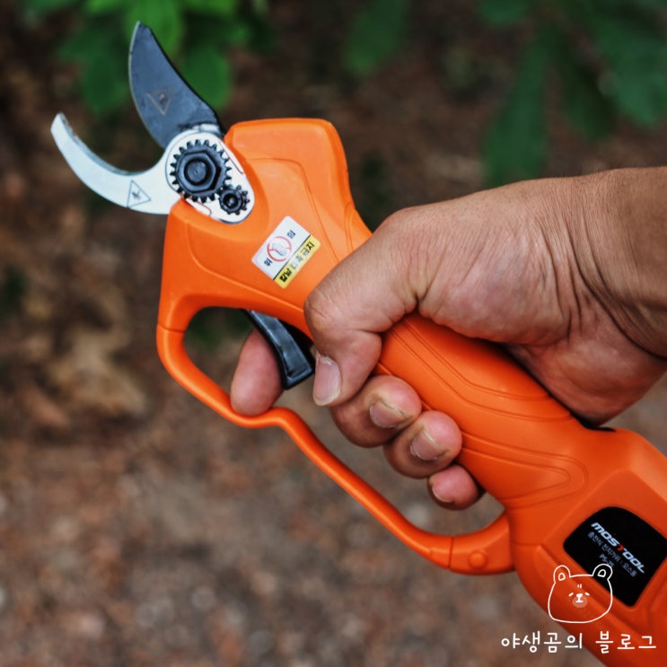  전동 전지가위 모스툴 하나면 가지치기 해결