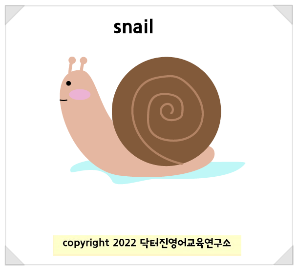 달팽이 snail 영단어카드