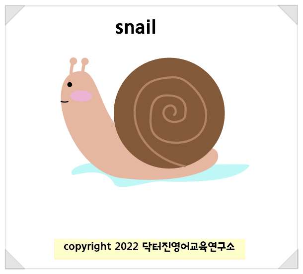  달팽이 snail 영단어카드