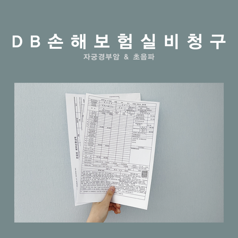 DB손해보험 실비 청구 방법 및 보험금 받은 후기 [자궁경부암 실비, 초음파 실비]