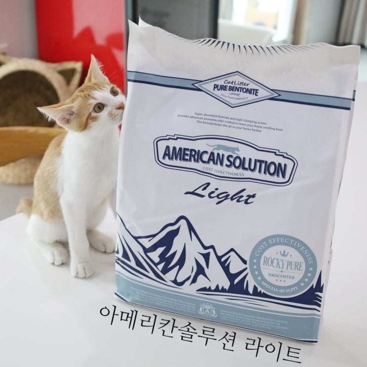  아메리칸솔루션라이트! 신상 모래 아메솔, 궁금해?
