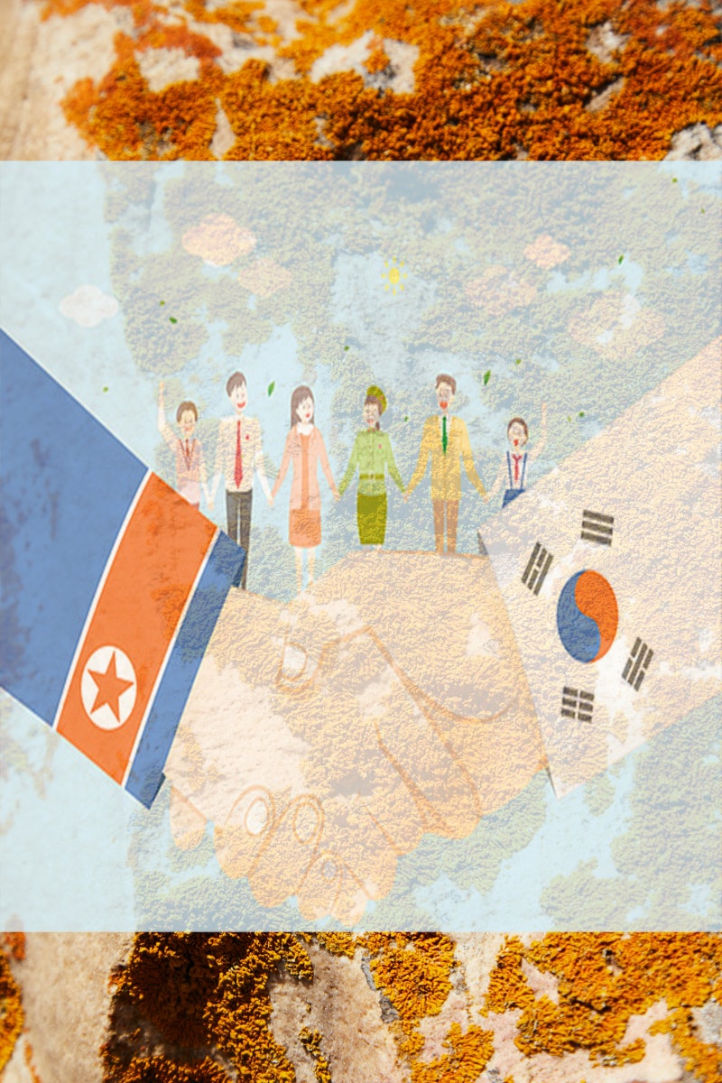 남북경협 관련주 의료지원 소식에 신원 세운메디칼 주가 주목 : 네이버 블로그