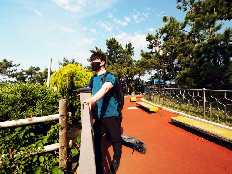  가벼운 걷기 운동과 오션뷰가 좋은 산책코스 가볼 만한 곳 부산영도 흰여울전망대,절영해안산책로