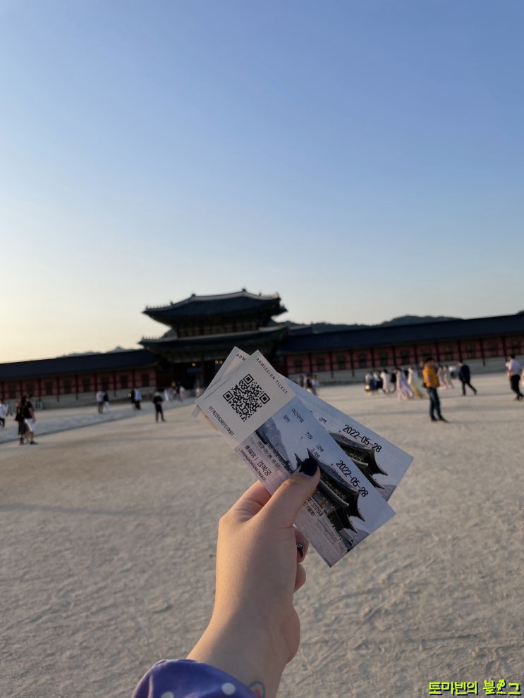  경복궁 야간개장 후기 : 아름다운 경회루