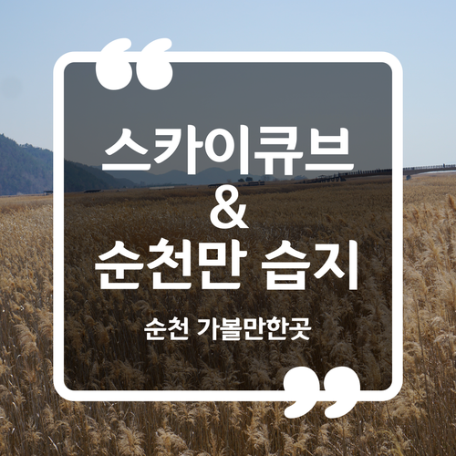  순천 가볼만한곳 - 스카이큐브 순천만습지 입장료 입장시간