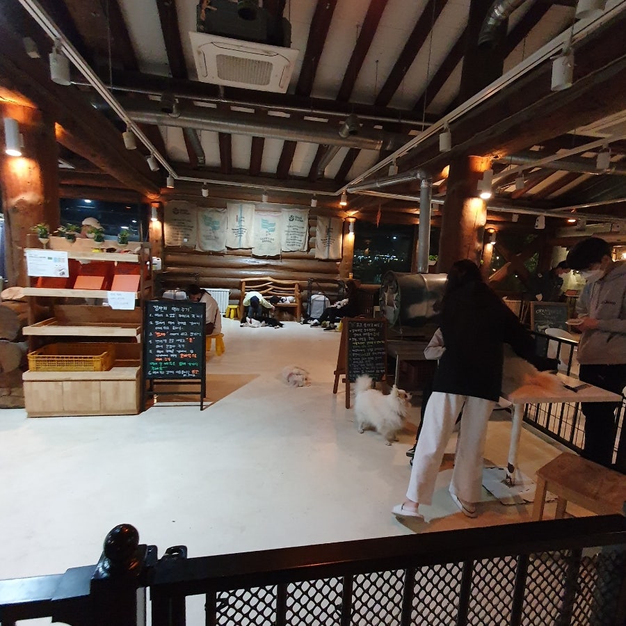 야행성 사진 4