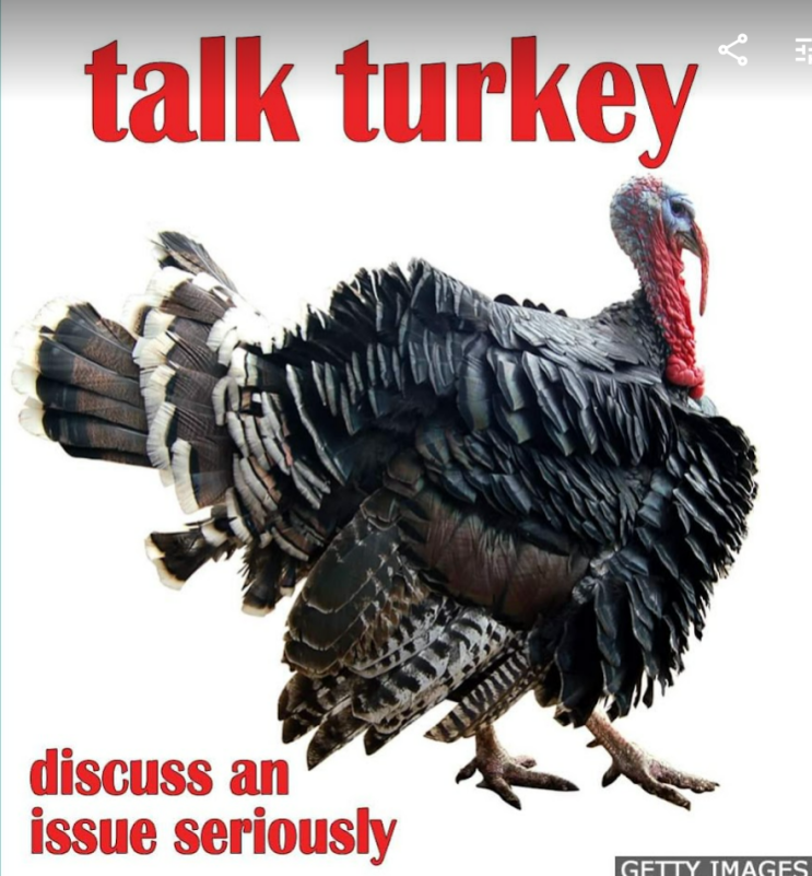 [영어]talk turkey 관용어구