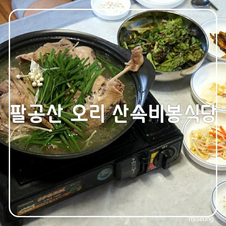 대구 팔공산 오리 한약재 넣은 한방백숙 맛집 산속 비봉식당 공기좋은 팔공산 힐링 음식