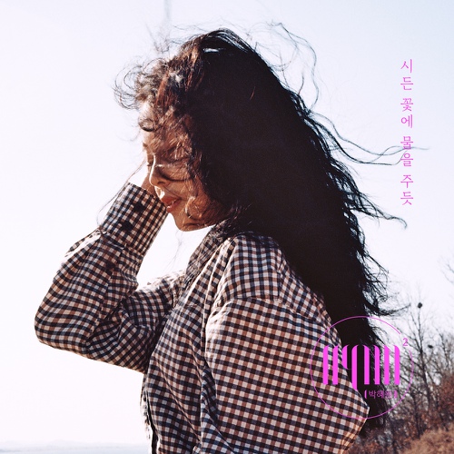  박혜원(HYNN) - 시든 꽃에 물을 주듯 (듣기/가사)