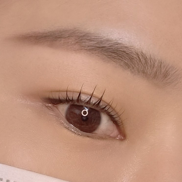 노원속눈썹펌 렌느브로우 뷰러가 필요 없이 예뻐졌어요 노원속눈썹펌 렌느브로우 뷰러가 필요 없이 예뻐졌어요