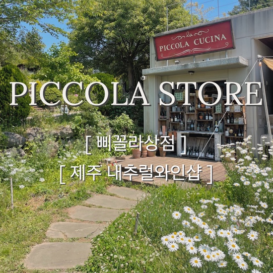  {제주시/스토어} 삐꼴라상점 :: "와인과 꽃이 매력적인 내추럴와인 전문점" , 제주 와인샵, 내추럴와인, 제주 서쪽