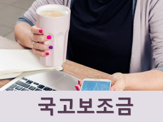  e-나라도움 국고보조금 통합관리시스템