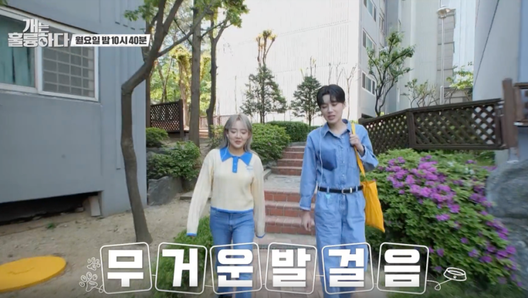 [개는 훌륭하다] 6/30 방송 미리보기 - 전과 13범, 역대급 입질견 '하키'