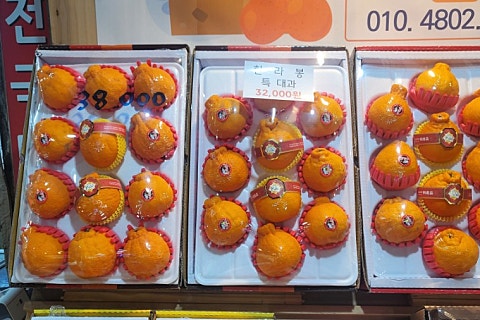 오늘청과2 이미지