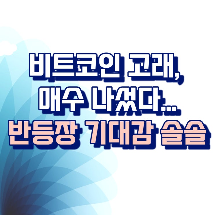  비트코인 고래, 매수 나섰다...반등장 기대감 '솔솔