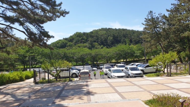  울산 아이들이랑 놀기좋은 선암호수공원 무지개놀이터