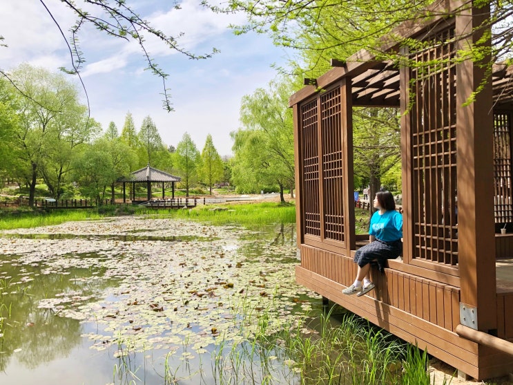  [전주여행] 전주 가볼만한 곳 추천! 한국도로공사 전주수목원 방문기