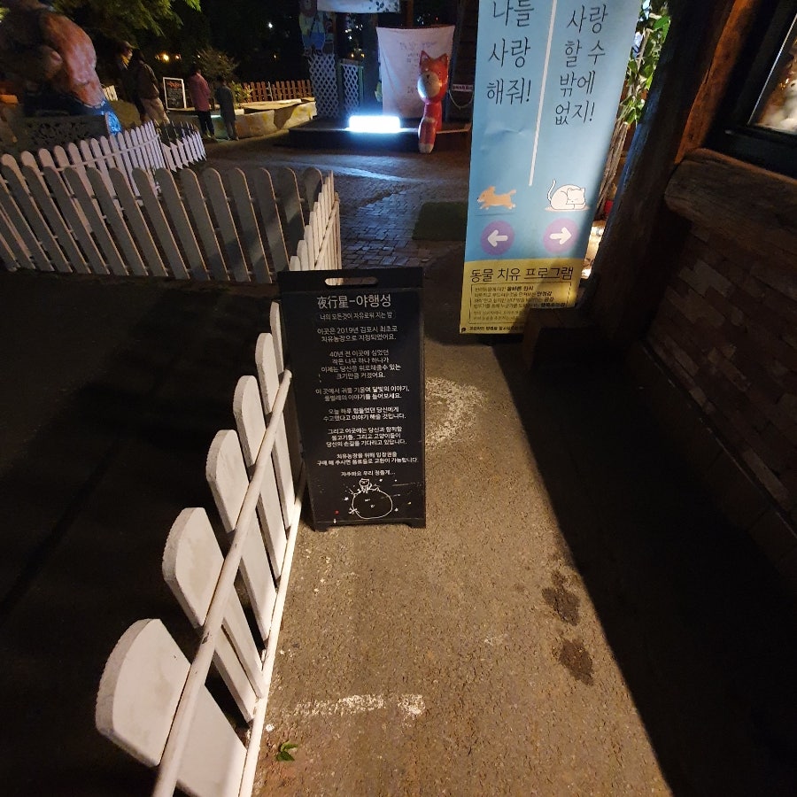 야행성 사진 1