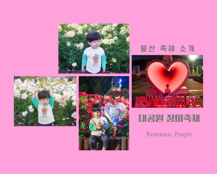 <울산 축제 정보> 울산대공원 장미축제 방문후기 <울산 축제 정보> 울산대공원 장미축제 방문후기