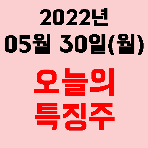  오늘의 시장 특징주 2022년 05월 30일(월)