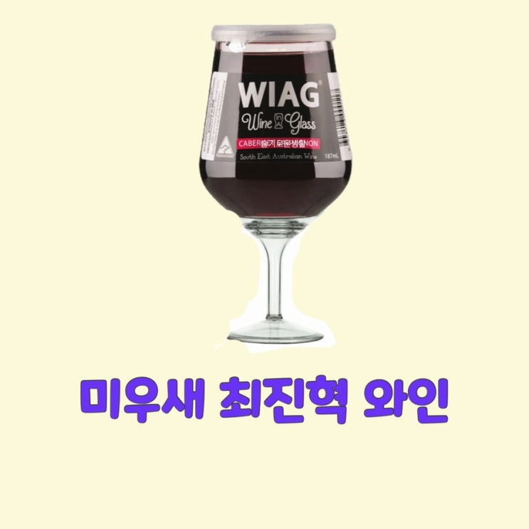 최진혁 미우새 와인 휴대용 여행용 와인잔 294회