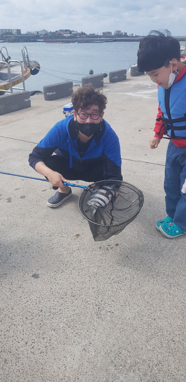  제주돌돔