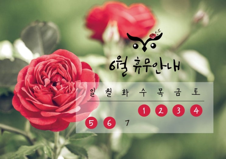  [부엉이조명] 6월휴무안내