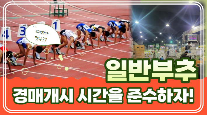  [부추 ISSUE] 부추경매 개시시간이 정해졌습니다!