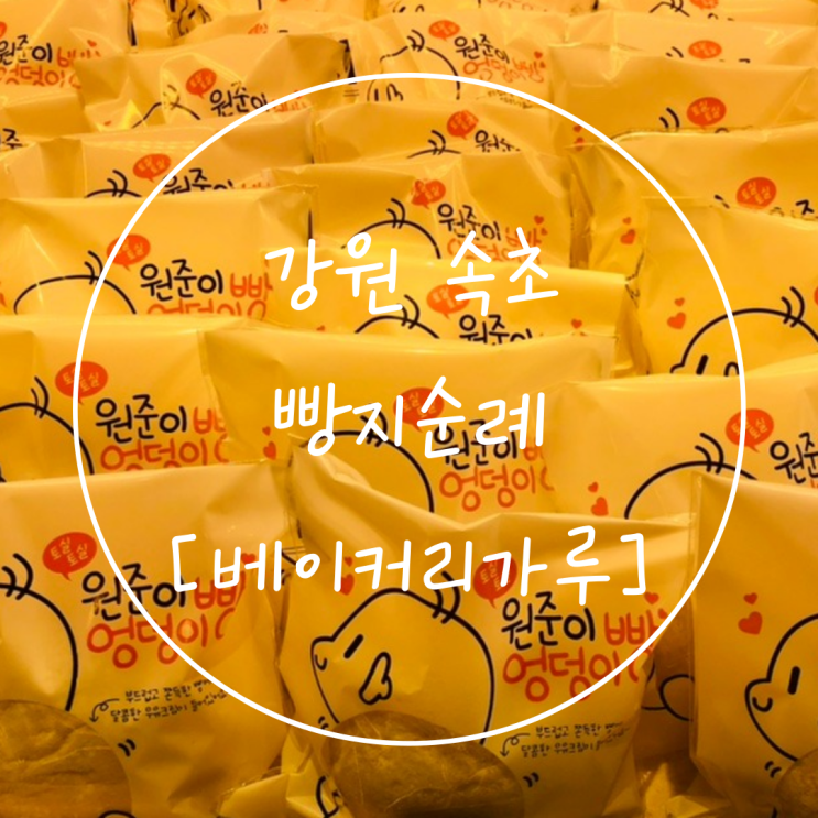  유명한 속초 빵집 강원도 여행 디저트 맛집은 '베이커리 가루'