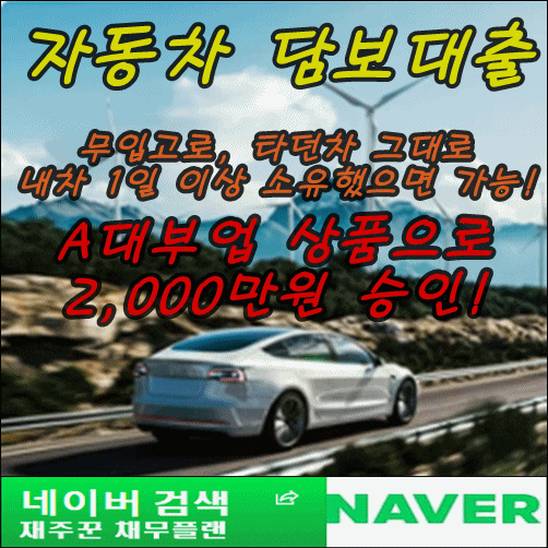  무직자 DSR 초과 대상 자동차 담보대출 2,000만원 승인 사례!