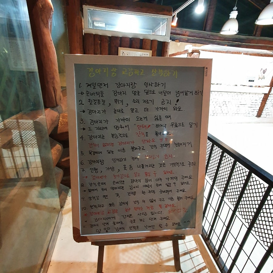 야행성 사진 3