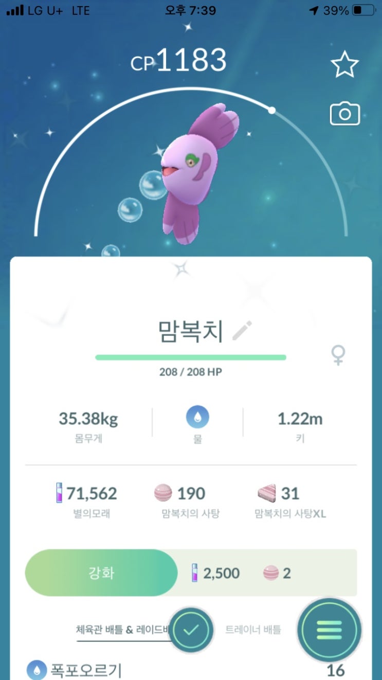  맘복치 이로치