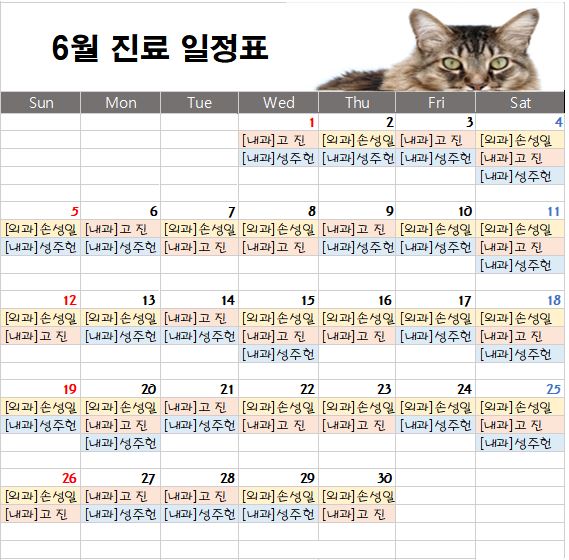 경기광주동물병원 송정동물의료센터 22년 6월 주치의 진료표