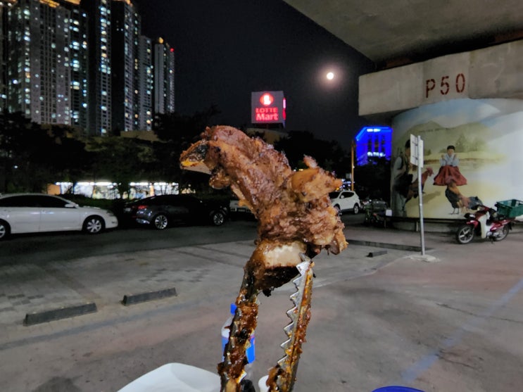  춘천 풍물시장, 춘천맛집: 닭목살구이와 돼지갈비 맛집 오닭발 방문후기