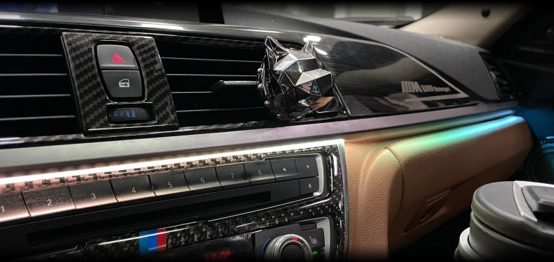 전주 덕진구 / 엠비언트 / BMW