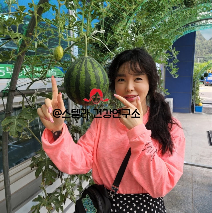  수박 칼로리 효능 등 알아보기