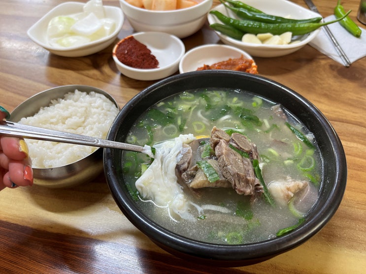 [포항]죽도시장 평남식당 3대천왕 나온  소머리 국밥집