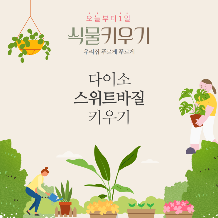 다이소 스위트바질 키우기 & 노린재 제거하기 다이소 스위트바질 키우기 & 노린재 제거하기