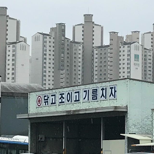  관리