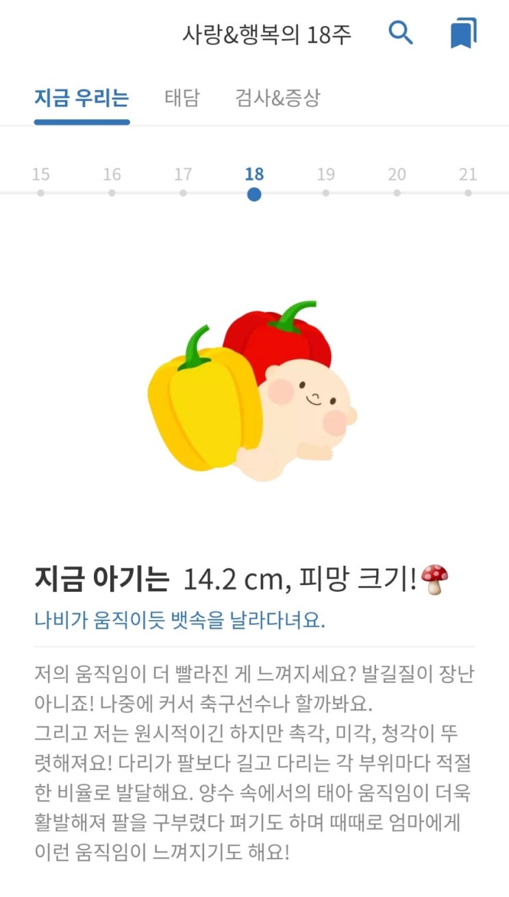  [임신 18주]성별공개/첫 태동/배뭉침/허리아픔/어깨결림/기형아검사니프티통과